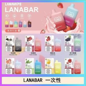 LANA BAR可充电一次性電子煙霧化5000口(3.0%)