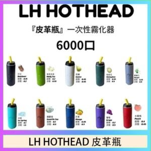 LH HOTHEAD皮革瓶電子煙可充電6000口一次性