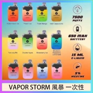Vapor Storm風暴電子煙7500口(5%)一次性